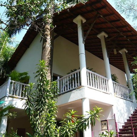 مبيت وإفطار أنجونا Michele'S Garden المظهر الخارجي الصورة