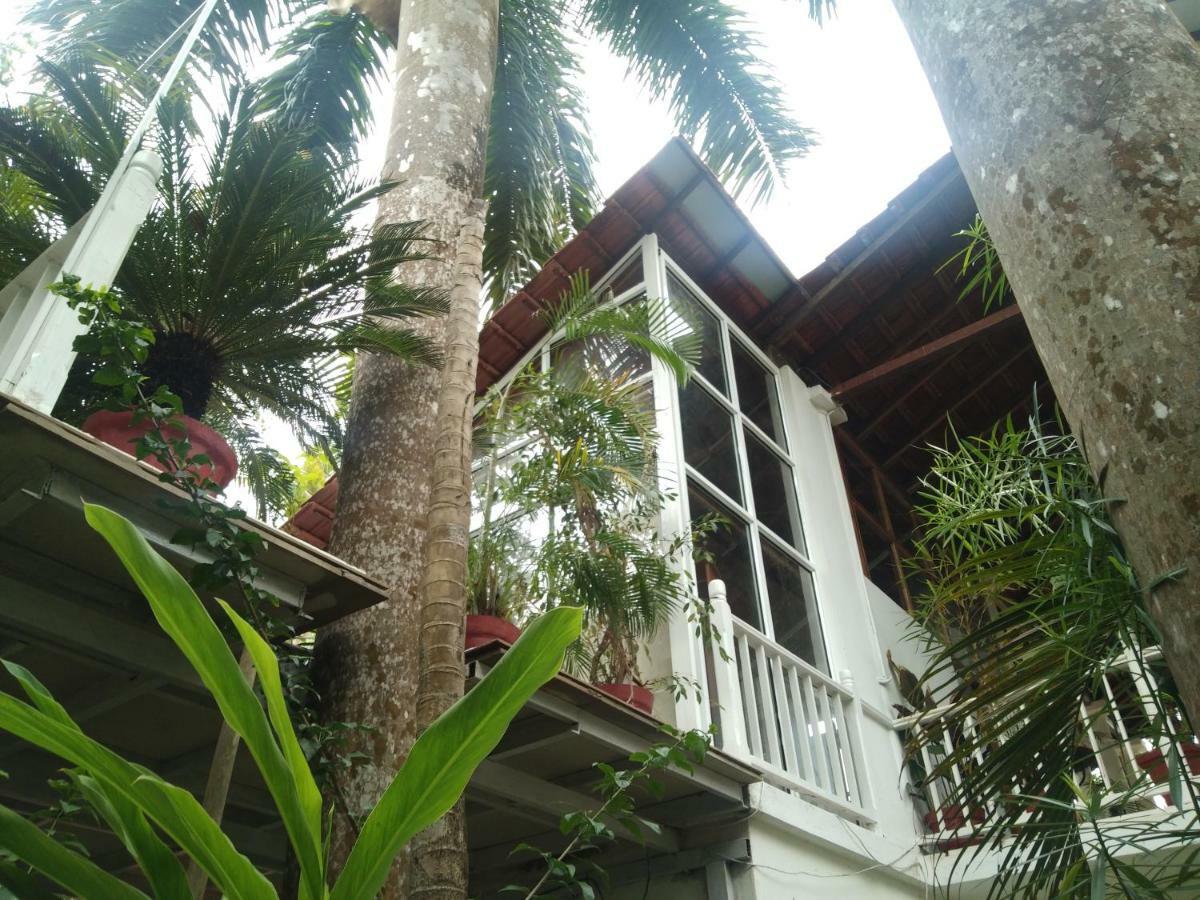 مبيت وإفطار أنجونا Michele'S Garden المظهر الخارجي الصورة