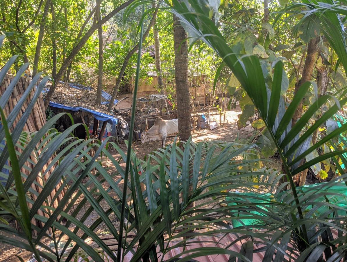 مبيت وإفطار أنجونا Michele'S Garden المظهر الخارجي الصورة